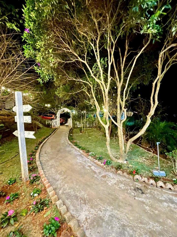 Cho thuê nhà vườn xuân thọ 2000m view săn mây đẹp phù hợp làm home cf