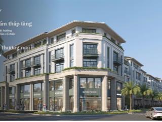 Nhận booking suất giới hạn biệt thự khoáng nóng tự nhiên alluvia city văn giang, hưng yên