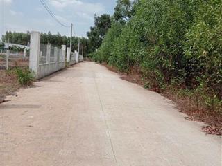 Đất tmdv long an, ngay mặt trước sân bay long thành đường oto thông, giá cực rẻ.