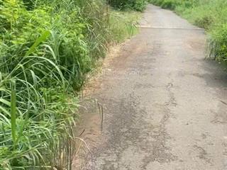 Chính chủ bán mảnh vườn đang thu hoạch ở phước bình, đường nhựa, shr sẵn, giá dtu