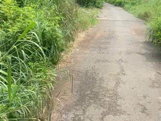 Chính chủ bán mảnh vườn đang cho thu hoạch ở xã phước bình cũ, đường nhựa thông, shr sẵn