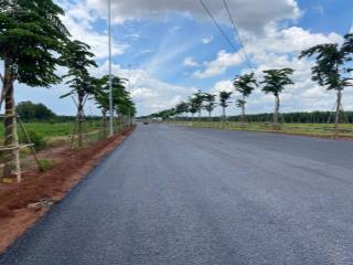 Đất lúa long an, ngay mặt trước sân bay long thành, shr thổ cư sẵn, giá đầu tư