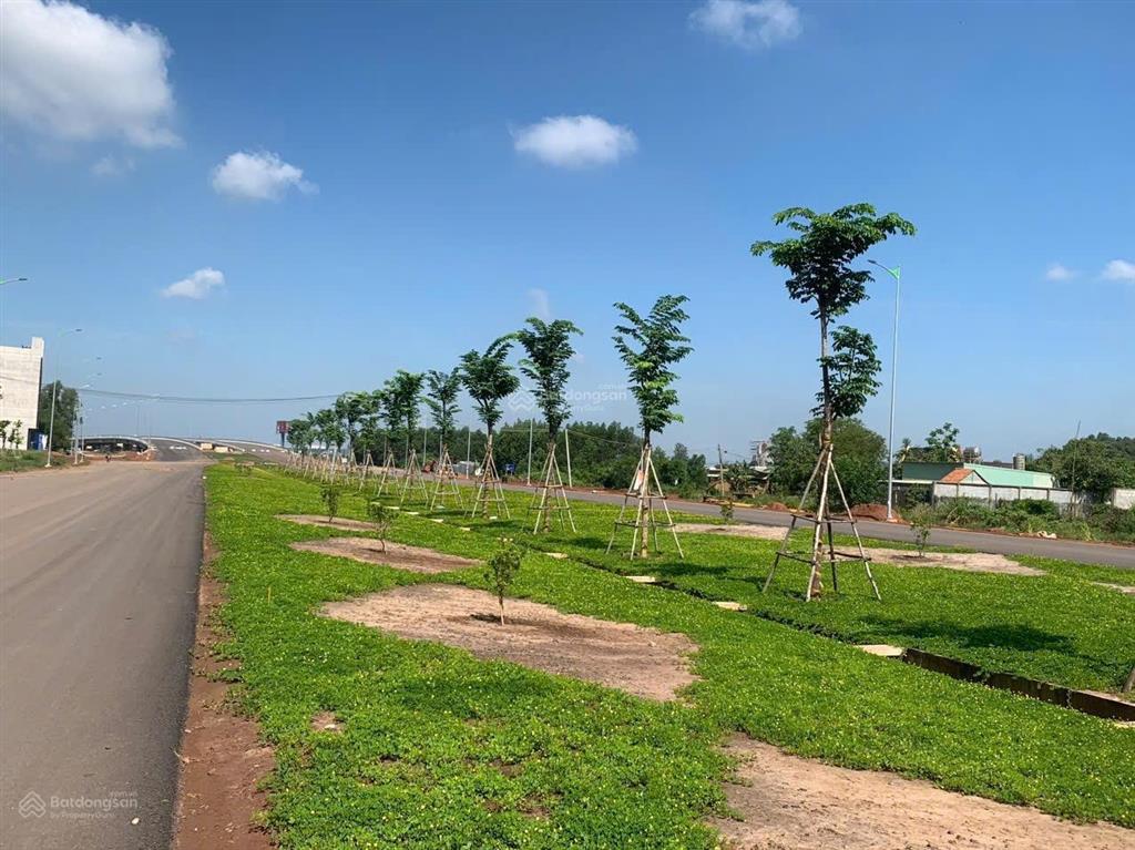 Đất tmdv mặt tiền trục chính vào sân bay long thành, shr sẵn, giá dtu.