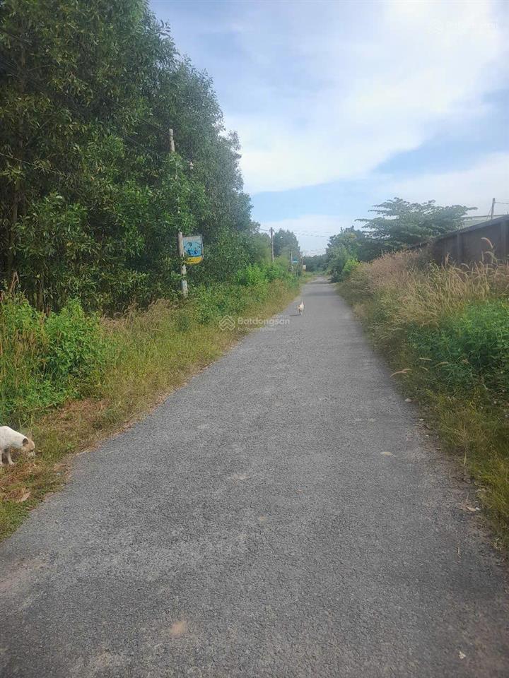 Đất long phước đối diện kcn bàu cạn  tân hiệp, đường nhựa, shr thổ cư