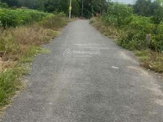 Đất vườn dừa phước bình, đường nhựa thông, dân cư hiện hữu, shr sẵn, giá đầu tư