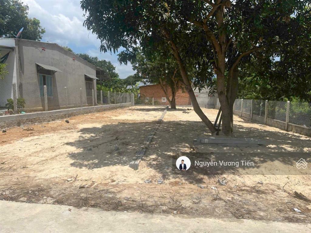 Bán đất 222m² ngang 7m giá 2,45 tỷ cam lâm gần vinhome, cạnh bàn cờ cam đức!