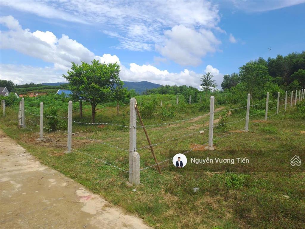 Hàng hiếm bắc khánh vĩnh 496.4m2 thổ cư 10x50m giá cực tốt chỉ 730tr tách được 2 lô