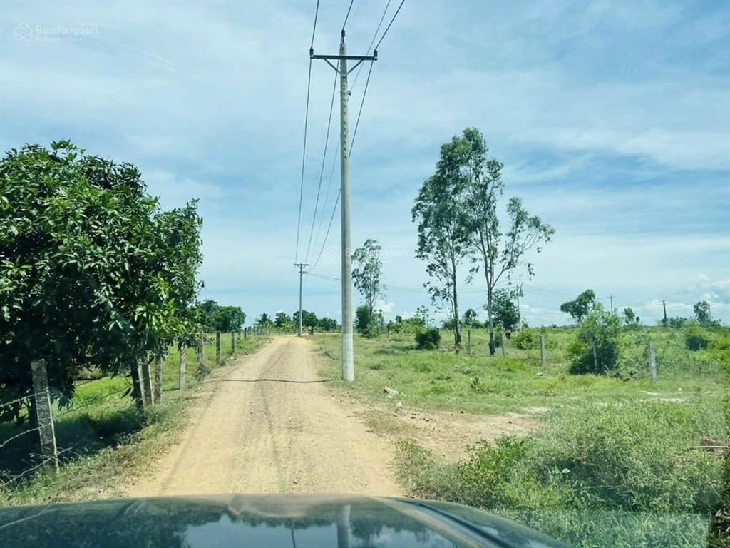 Bán nhanh lô đất đường trên sổ 8m kết nối đường nhựa 24m về sân bay phan thiết, bao sang tên 375tr