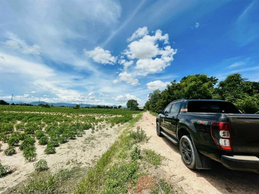 Bán nhanh lô đất đường trên sổ 8m kết nối đường nhựa 24m về sân bay phan thiết, bao sang tên 375tr