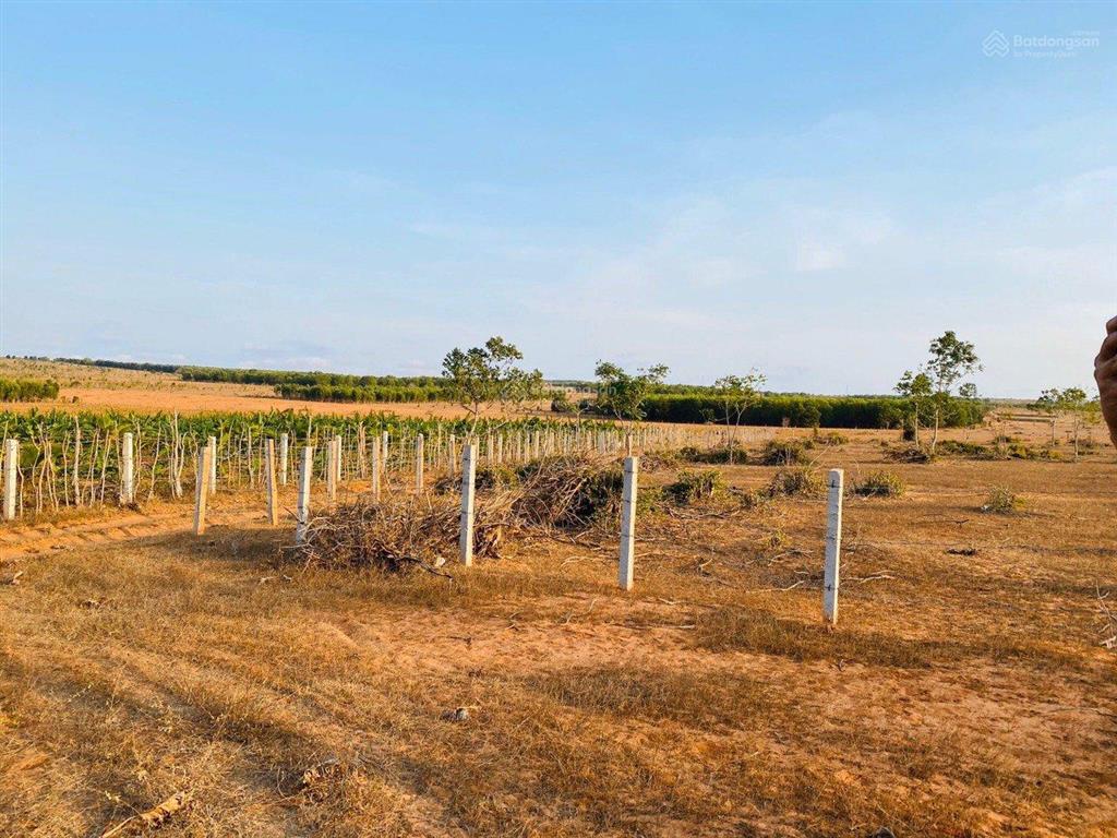 Bán nhanh 4600m2 đất hoà thắng ngay trục đường dt716 xuống biển, sổ hồng riêng