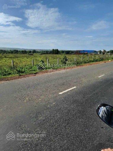 Bán nhanh 4600m2 đất hoà thắng ngay trục đường dt716 xuống biển, sổ hồng riêng