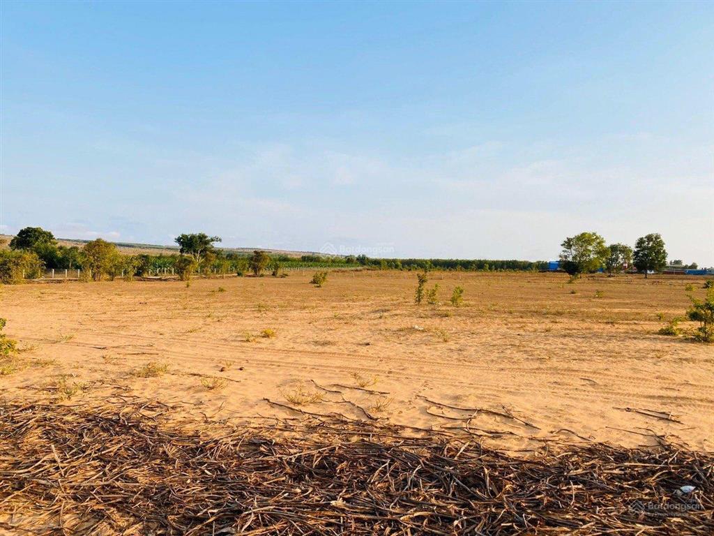 Bán nhanh 4600m2 đất hoà thắng ngay trục đường dt716 xuống biển, sổ hồng riêng