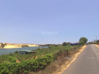 1300m2 đất mặt tiền đường dt716 view hồ , view bàu trắng siêu đẹp. sổ sẵn gái 2tr7/m2( như hình)