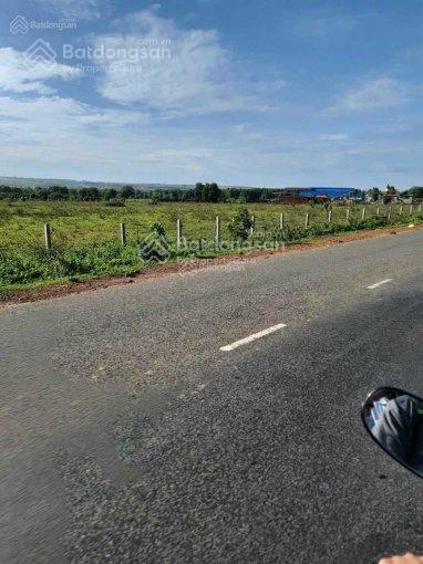 Bán lô đất mặt tiền đường nhựa 24m đi biển và sân bay phan thiết 1900m2 giá chỉ 420tr, bao sang tên