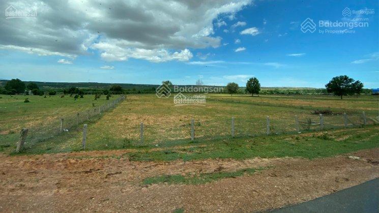 Bán lô đất mặt tiền đường nhựa 24m đi biển và sân bay phan thiết 1900m2 giá chỉ 420tr, bao sang tên