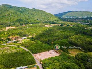 Bán đất tại thị trấn phước hải, view núi minh đạm giá 2,05 tỷ, 255m2