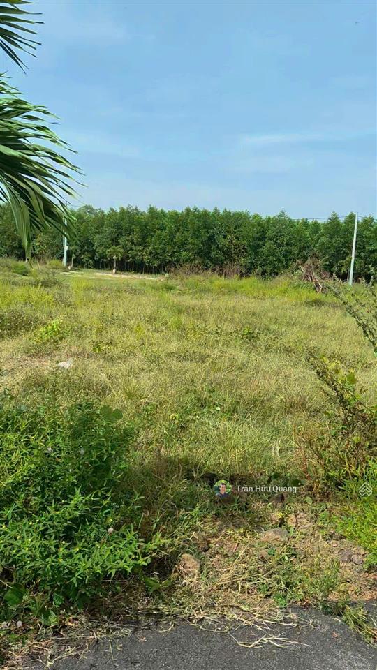 Bán đất tại thị trấn phước hải, 1,2 tỷ, 149m2, pháp lý đầy đủ, hướng đông, mặt tiền rộng 6m