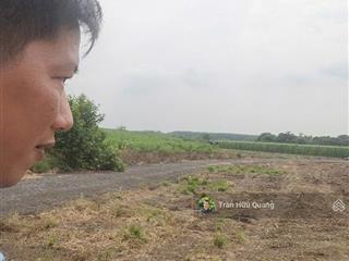 Bán đất vườn kcn đất đỏ. dt 1800m2 có 80m2 mặt tiền giá chỉ 1,65 tỷ