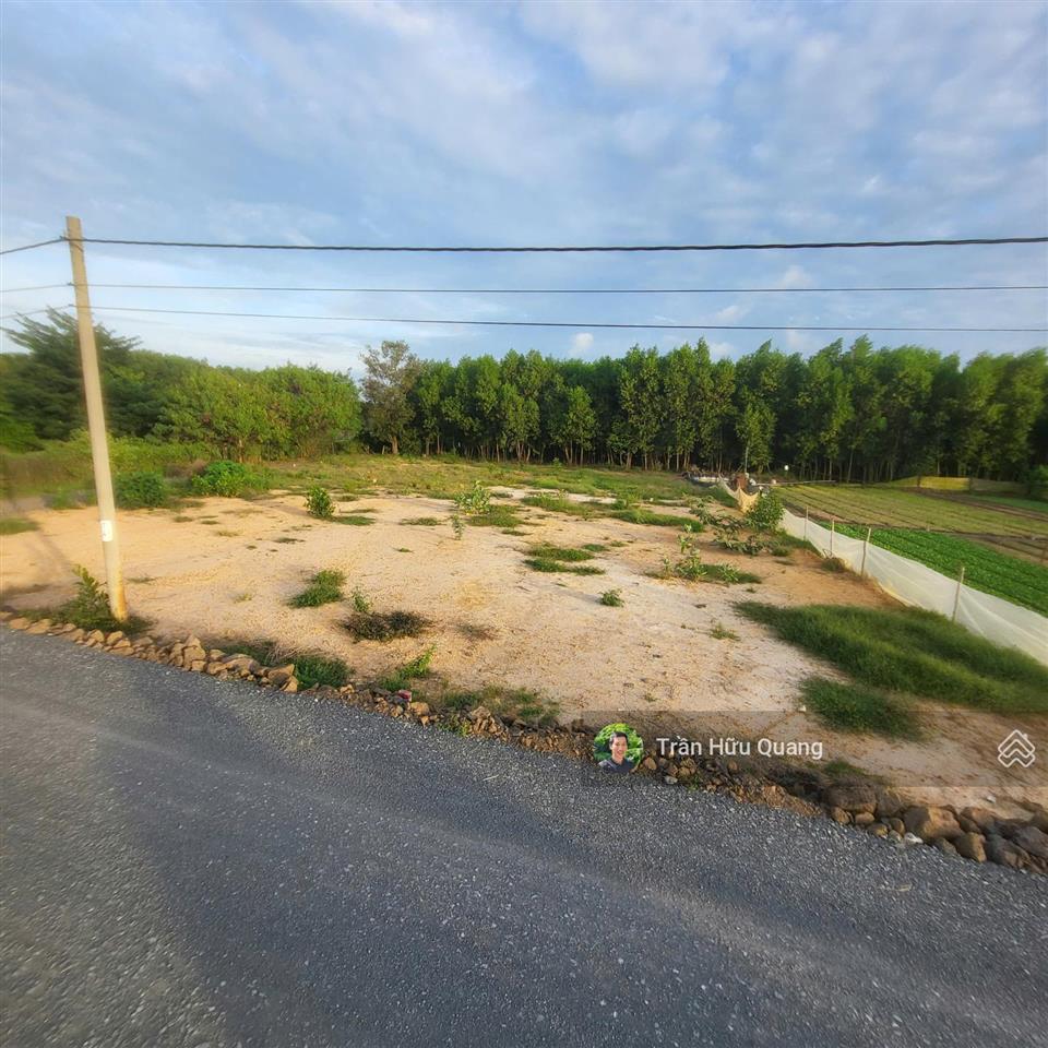 Bán đất ven biển phước hải gần trục đường 996c ( tl 44b ). 141m2 5,5 m mặt tiền giá rẻ