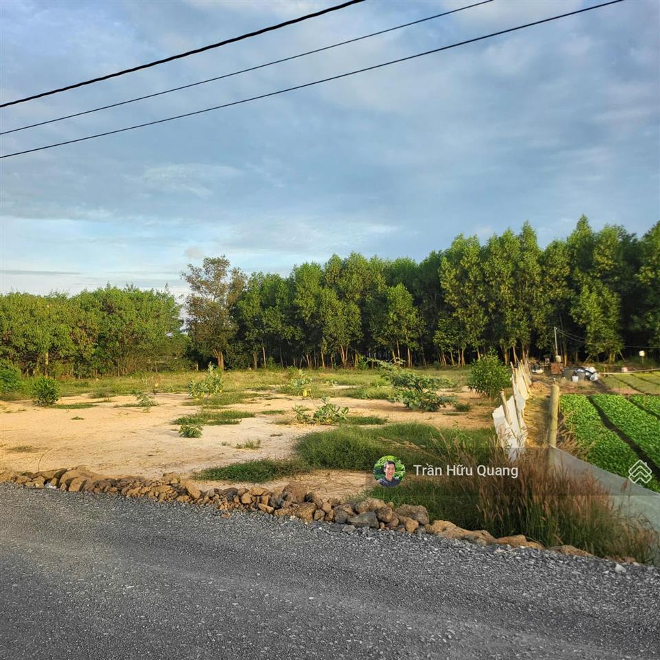 Bán đất ven biển phước hải gần trục đường 996c ( tl 44b ). 141m2 5,5 m mặt tiền giá rẻ