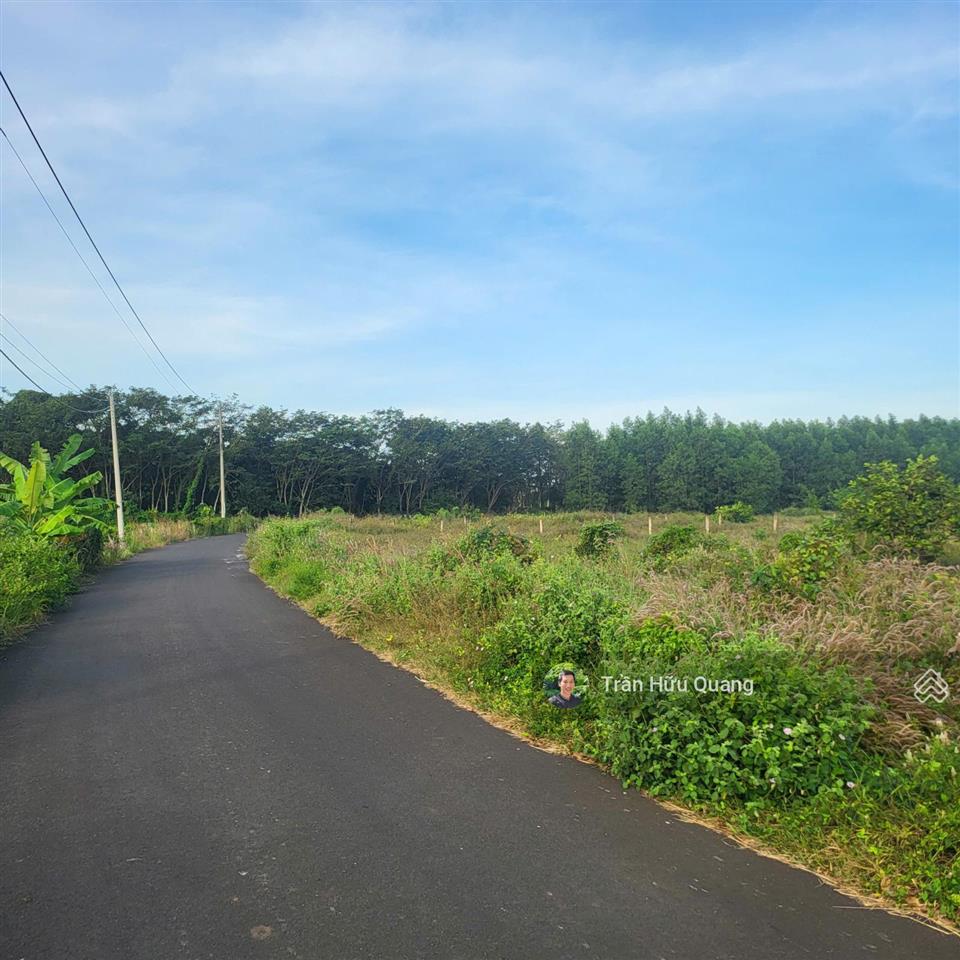 Bán đất tại xã đất đỏ, long đất, cạnh đường phạm hùng 1,65 tỷ, 1000m2 60m mặt tiền