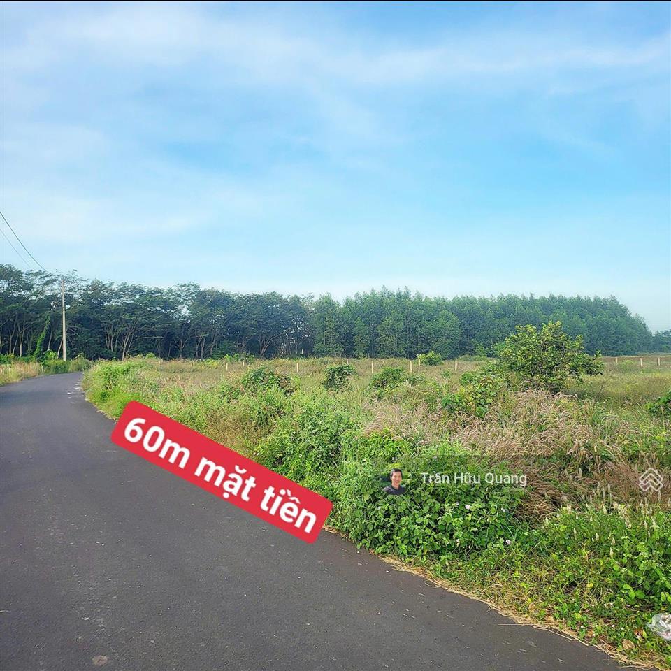Bán đất tại xã đất đỏ, long đất, cạnh đường phạm hùng 1,65 tỷ, 1000m2 60m mặt tiền