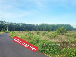 Bán đất tại xã long tân, long đất, bà rịa vũng tàu, 1,65 tỷ, 1000m2