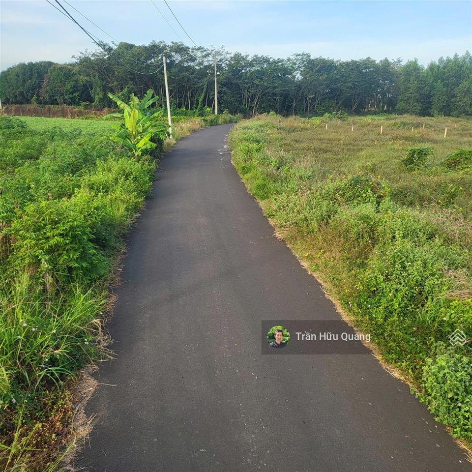 Bán đất tại xã đất đỏ, long đất, cạnh đường phạm hùng 1,65 tỷ, 1000m2 60m mặt tiền