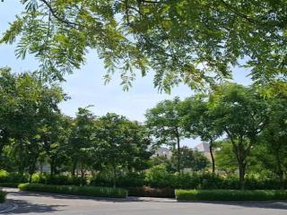 Bán biệt thự dương cầm 7 anlac green symphony hướng tây bắc