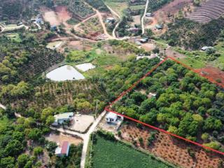 Bán đất vườn 9178m2 tại thôn 3 mê linh lâm hà. gần kdl view triệu mây, đường rộng 6m, chỉ 1tỷ/sào