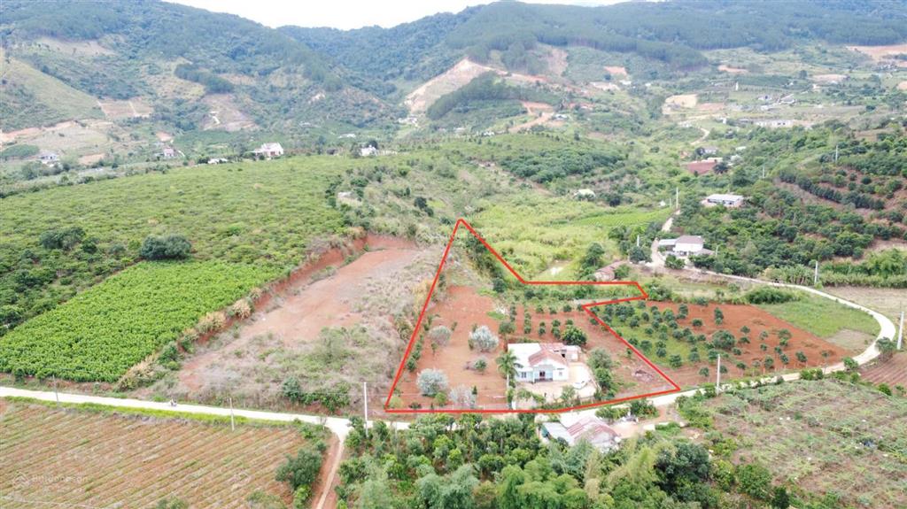 Chính chủ cần bán lô đất 5600m2 tại đông thanh, lâm hà, lâm đồng, giá 5 tỷ 1 thương lượng