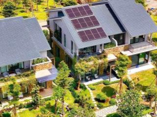 Chính thức nhận booking 500tr/suất cho biệt thự rừng eco retreat  604 căn hoàn hảo nhất 19 tỷ/căn