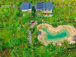 19 tỷ có đắt với 1 căn biệt thự rừng 220m2 + 1000 m2 rừng và tiện ích sử dụng chung