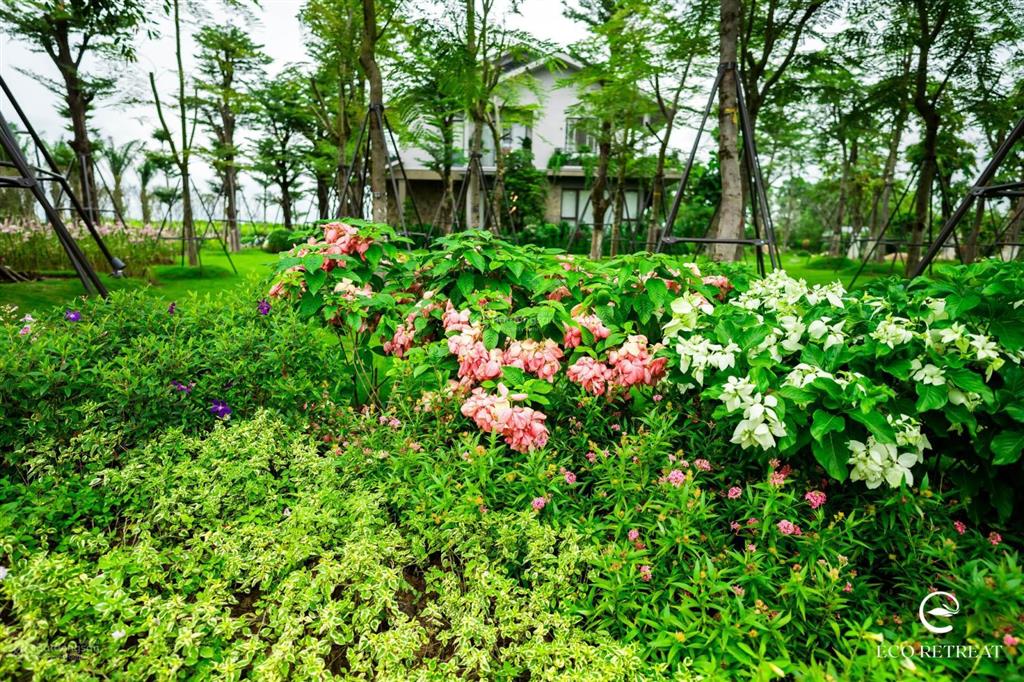 Cần bán chuyển nhượng căn biệt thự đảo đơn lập mã r312a (270m2) giá chỉ từ 26 tỷ 4 full vat