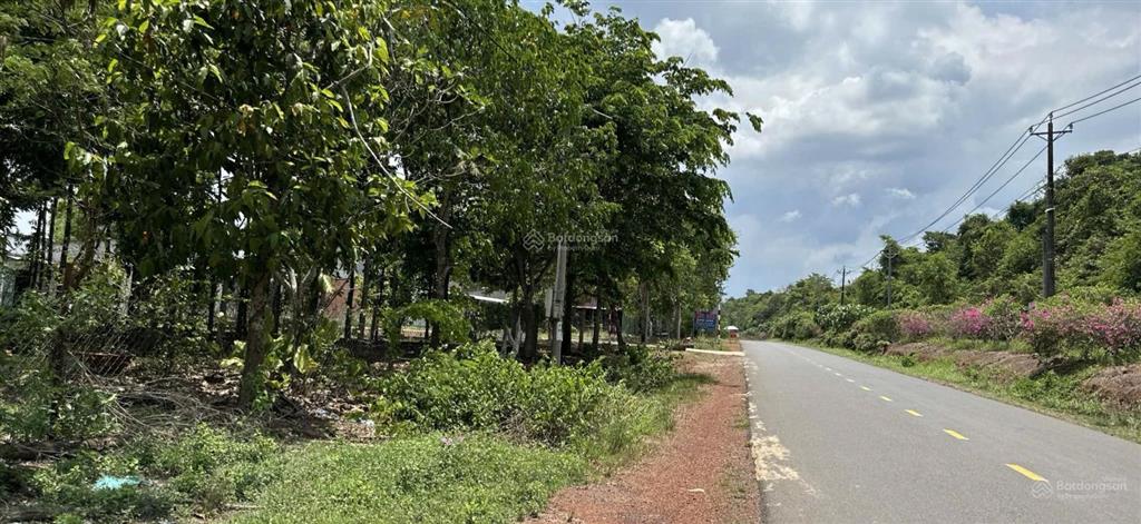 Bán nhà riêng và đất vườn cây ăn trái mặt tiền đường dt761 23md