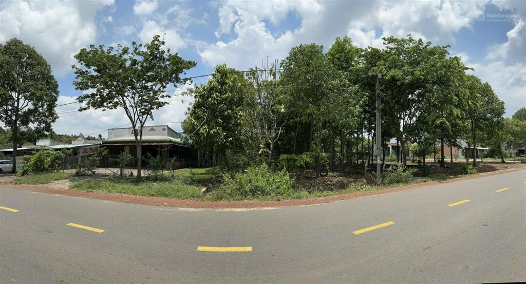 Bán nhà riêng và đất vườn cây ăn trái mặt tiền đường dt761 23md