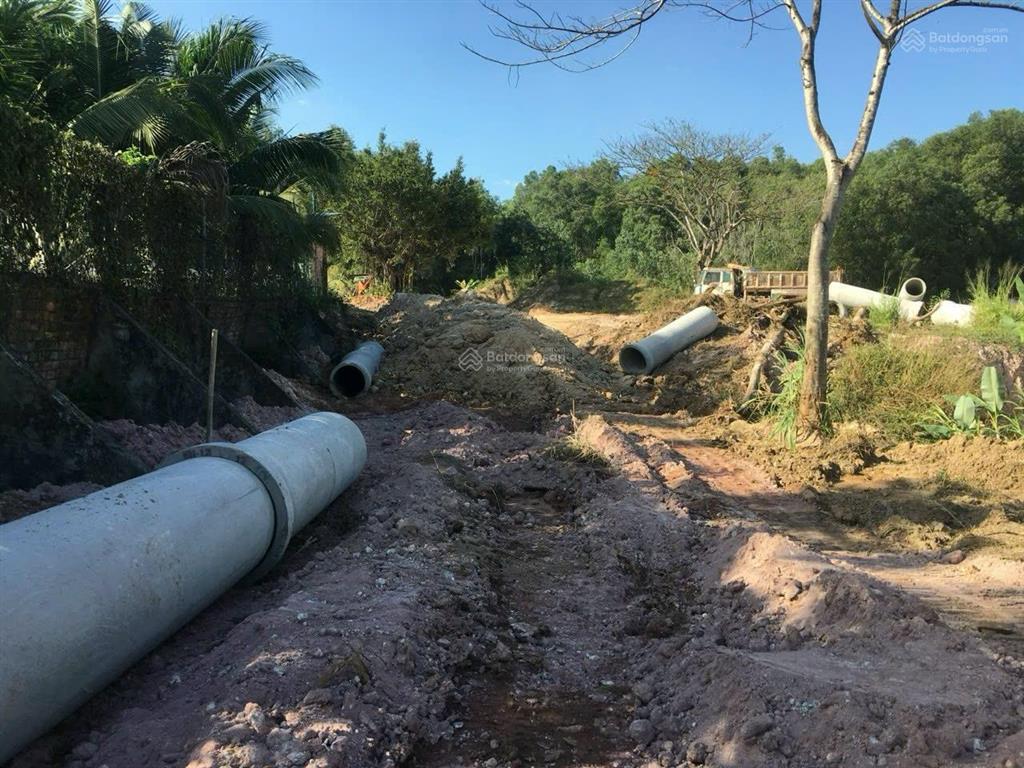 Bán đất khu vực đông dân cư kcn cụm cn kp ông hường đường đt 768, phường trảng dài, đồng nai