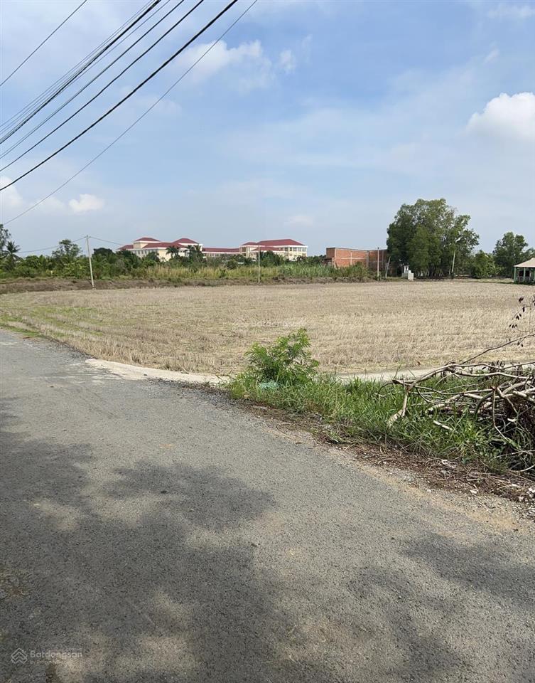 Bán nhanh lô đất 1600m2 tại đường ba chả, hưng long giá cạnh tranh