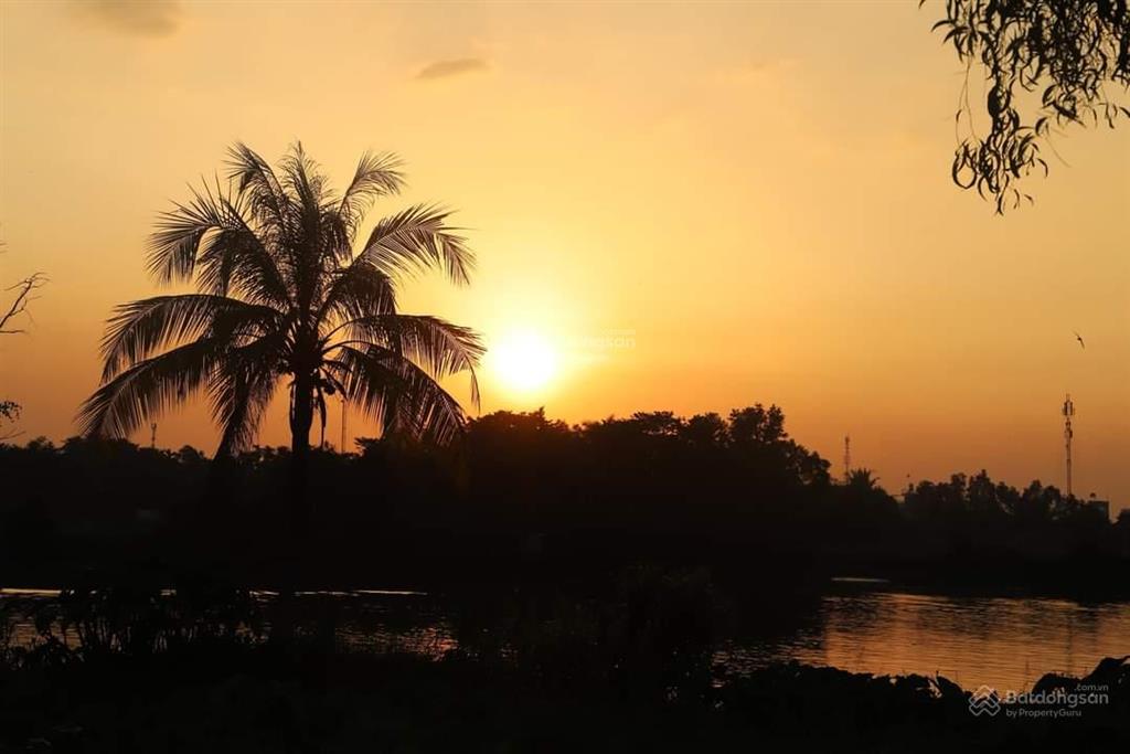 Cần bán đất tái định cư an sơn view sông sài gòn, 100m2, vị trí đẹp, 2 tỷ 450