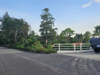 1170m2 đất an thạnh 42, giá rẻ thỏa thuận chính chủ, đường thông, giá đầu tư, xây biệt thự