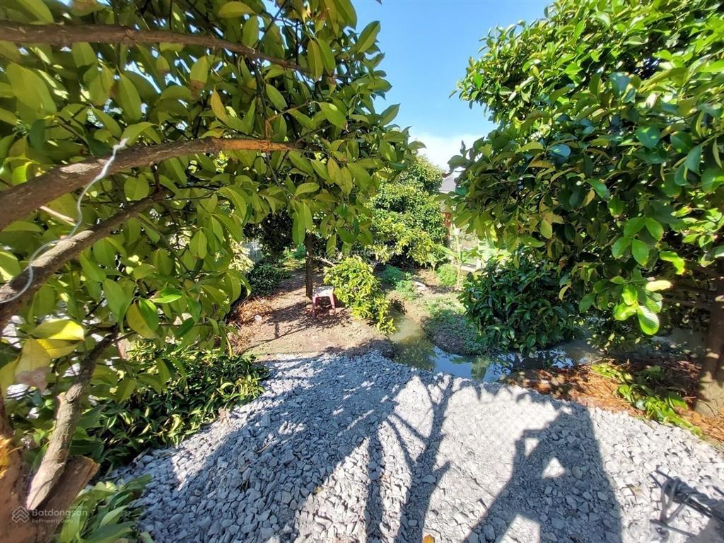 Gần 900m2 đất an sơn, tp thuận an, giá 5 tỷ 800tr (6tr5  1 m2), có vườn măng cụt