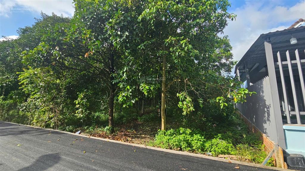 Bán đất vườn an sơn, 10x36m, đường nhựa, giá chí có 4 tỷ 500tr, thật đáng mua, nơi đáng sống