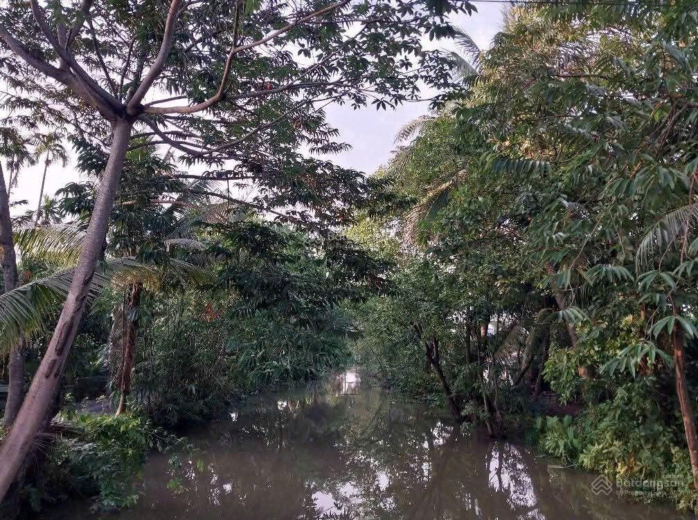 Bán đất vườn an sơn, 10x36m, đường nhựa, giá chí có 4 tỷ 500tr, thật đáng mua, nơi đáng sống