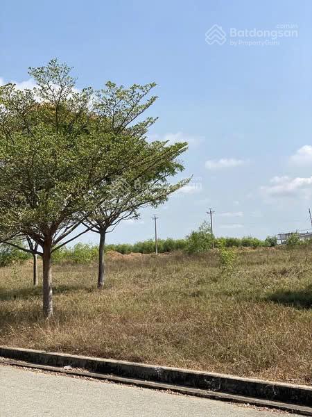 Đất đẹp giá đầu tư cần bán lô đất kcn hàm kiệm 1, hàm kiệm hàm mỹ, hàm thuận nam, bình thuận