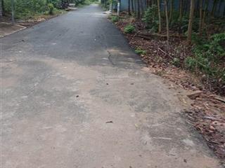 Đất siêu đẹp  giá tốt chính chủ bán lô đất tại phường tam phước, biên hoà, đồng nai