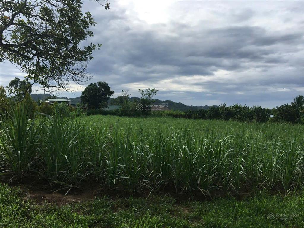 Đất đẹp  giá tốt  bán gấp lô đất tiềm năng tại xã quảng ngãi, cát tiên, lâm đồng