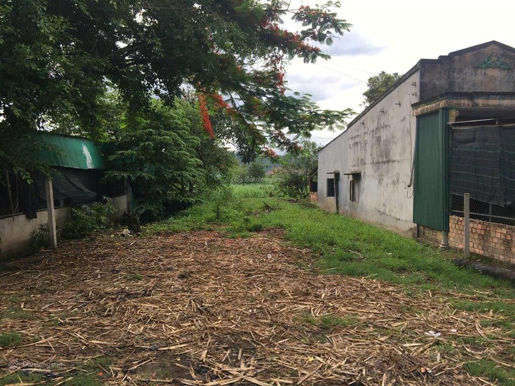 Đất đẹp  giá tốt  bán gấp lô đất tiềm năng tại xã quảng ngãi, cát tiên, lâm đồng