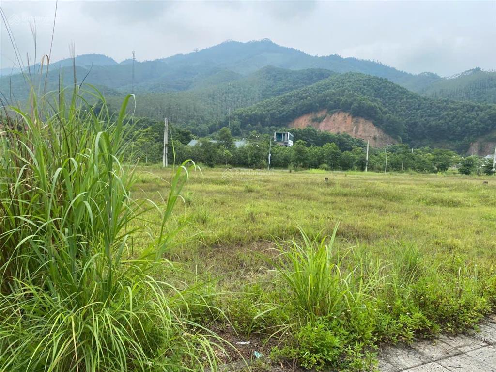 Đất vị trí đẹp giá đầu tư cần bán nhanh lô đất tại thị trấn yên lập, phú thọ