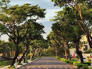 Chính chủ cần bán nhanh lô đất biển tân trà đường trần văn giảng.  0905 666 ***