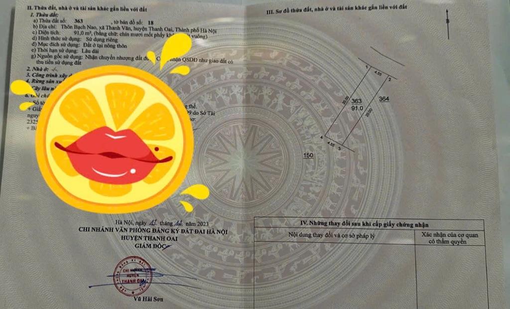 Tam hưng - Thanh oai 91m - đường ô tô tránh -100m ra ubnd , trường học và Vin giá đầu tư